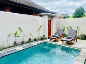Dira house